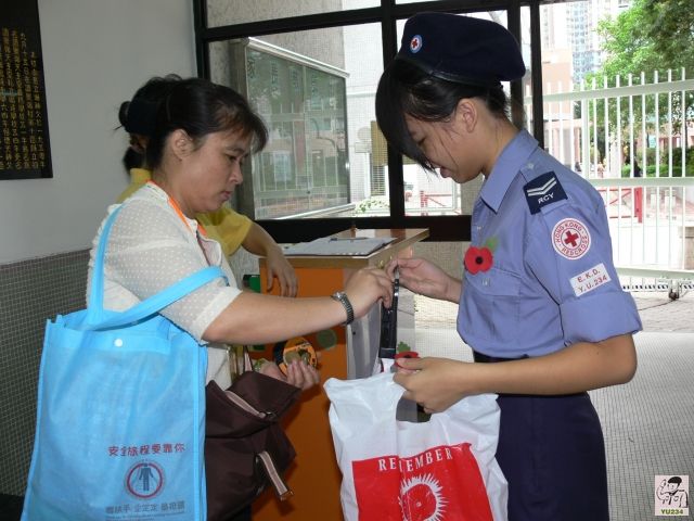 20091107-poppyday-02.jpg